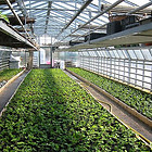 120-2095_IMG