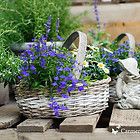 GärtnereiAndel_Web-081