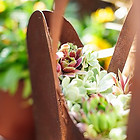 GärtnereiAndel_Web-118