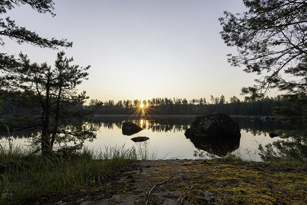 Sunrise (Schweden 201906 00477) | Sonnenaufgang über einem See in Schweden | Friede, Mörlunda, Schweden, See, Urlaub, ruhe, sonnenaufgang, wärme