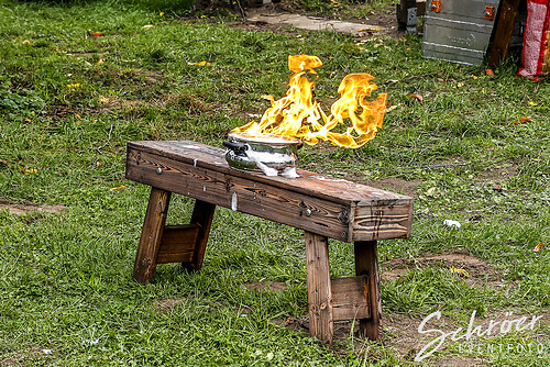 Get together Wedding Love  (EFTS-251012-12-20-56-8592)