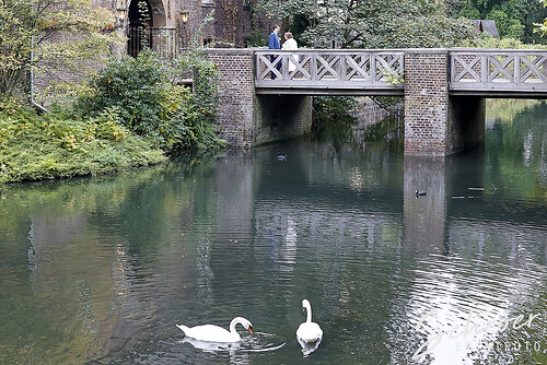 Hochzeit Jacqueline und Renè (EFTS-250918-18-00-54-4548)