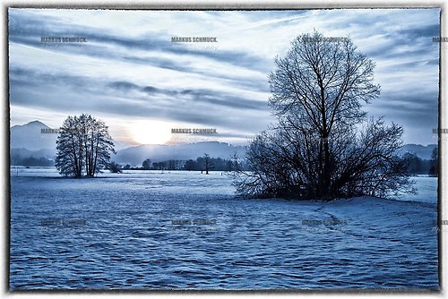 Winterlandschaft (Winter 04)