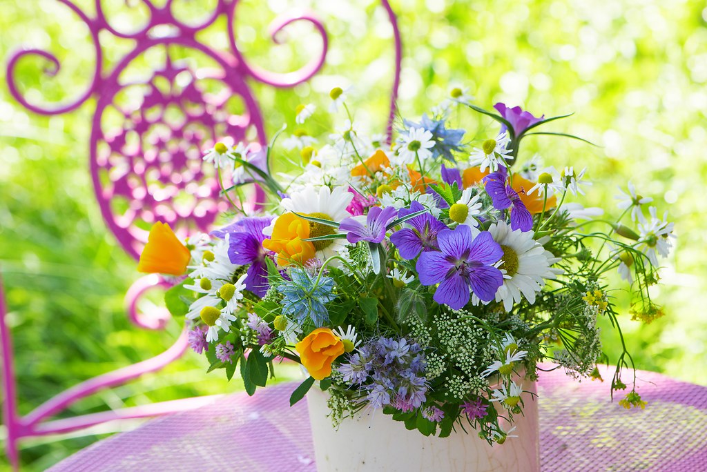 Farbenfroher Wildblumenstrauß (_DSC6082)