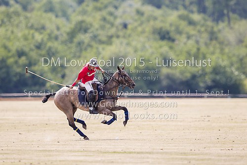 DMLG 2015 - 0731