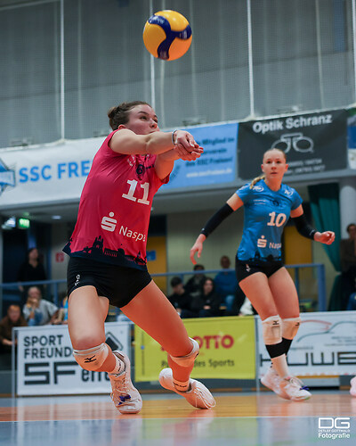 freisen-vcw2_2025-11-15_foto-detlef-gottwald_K06_2550