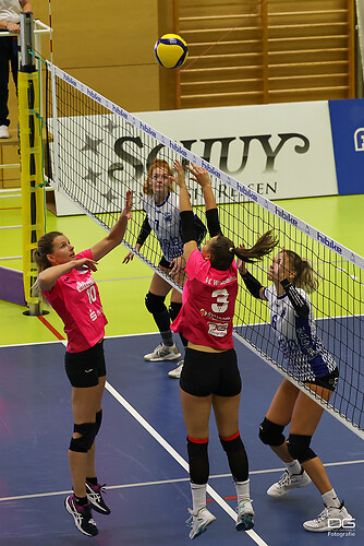 Soden-VCWII_Hessenpokal-Finale-Bad-Soden_2022-09-25_Foto-Detlef-Gottwald_K06_0601