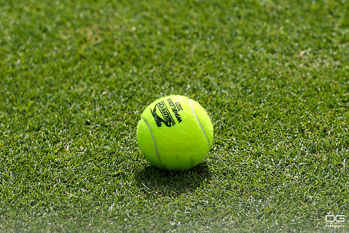 boss-open_atp250_stuttgart_struff-tiafoe_finale_2023-06-18_foto-detlef-gottwald_K06_0852