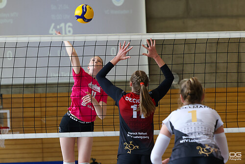 ludwigsburg-vcw2_2024-04-21_foto-detlef-gottwald_K06_0394