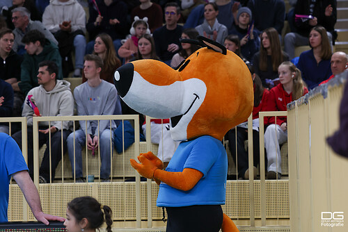 vcw-suhl_2026-02-14_foto-detlef-gottwald_K08_2001