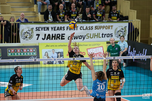 vcw-suhl_playoff_2025-03-25_foto-detlef-gottwald_K08_1088