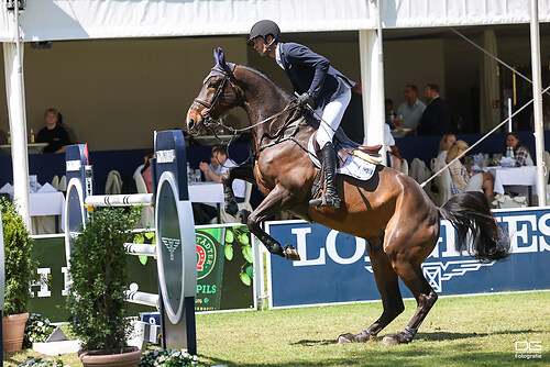 Rene Dittmer (GER) Olympique van &#039;T Siamshof _ pfingsturnier_springen-obermayr_2023-05-29_