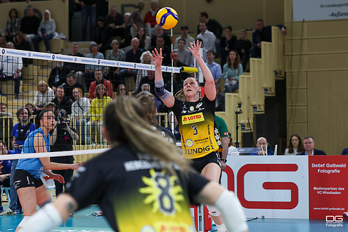 vcw-suhl_playoff_2025-03-25_foto-detlef-gottwald_K08_1788