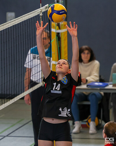 dvvsüdwest-mittelrheinvolleys_2024-02-17_foto-detlef-gottwald_K06_0351