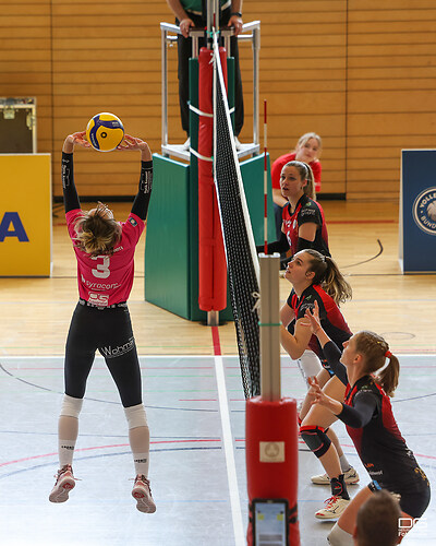 ludwigsburg-vcw2_2024-04-21_foto-detlef-gottwald_K06_1196