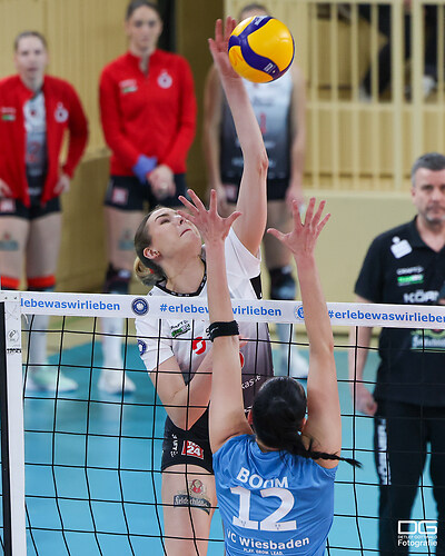 vcw-dresden_2026-01-21_foto-detlef-gottwald_K08_2935