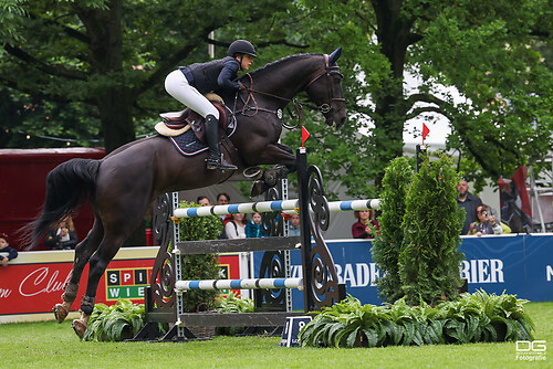 Leticia Hirmer (GER) _ Dede 5 _ pfingstturnier_2024-05-19_foto-detlef-gottwald_K06_0455