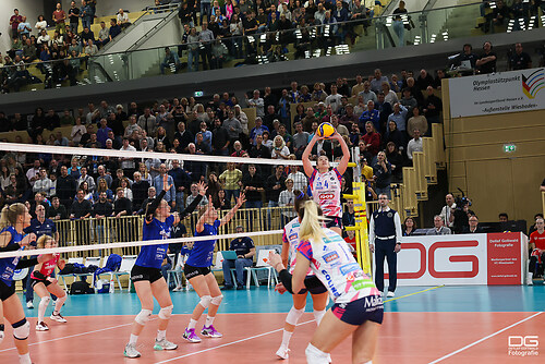 vcw-novara_2024-02-07_foto-detlef-gottwald_K06_1567