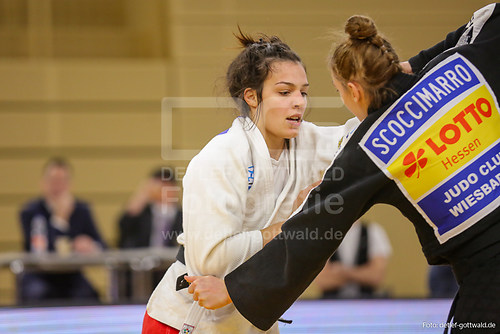 dm-judo_2019-11-09_halbfinale_jcw-backnang_foto-detlef-gottwald_K01_2954