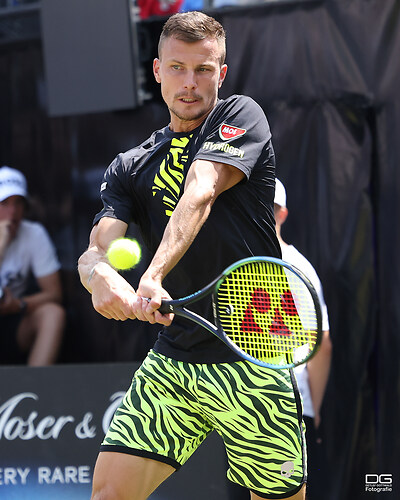 boss-open_atp250_stuttgart_tiafoe-fucsovics_2023-06-17_foto-detlef-gottwald_K06_0147