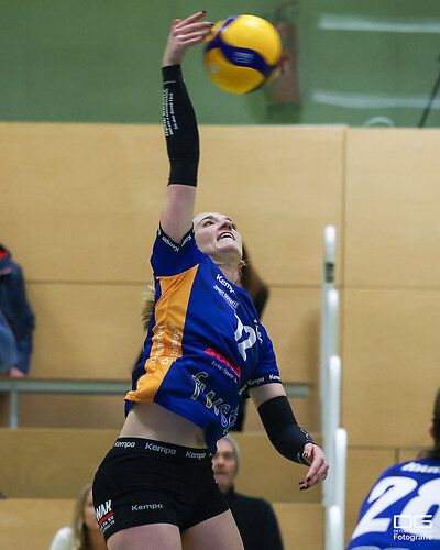 tgbadsoden-holz_2025-11-16_foto-detlef-gottwald_K06_1700