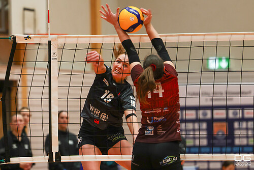 düsseldorf-bonn_2026-03-14_foto-detlef-gottwald_K08_4823