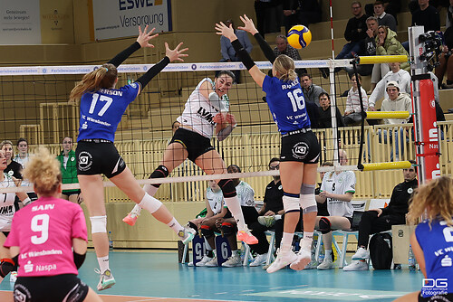 vcw-münster_2023-11-25_foto-detlef-gottwald_K06_1500