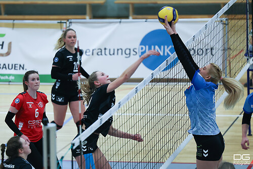 bonn-sorpesee_2026-01-24_foto-detlef-gottwald_K08_0113