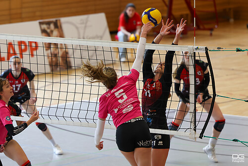 ludwigsburg-vcw2_2024-04-21_foto-detlef-gottwald_K06_1182