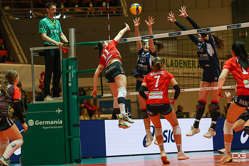 leverkusen-straubing_2024-03-16_foto-detlef-gottwald_K06_3722