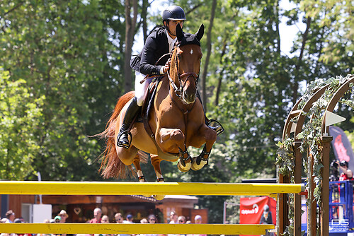 Victor Bettendorf (LUX) Edipson du Chene _ pfingsturnier_springen-obermayr_2023-05-29_foto