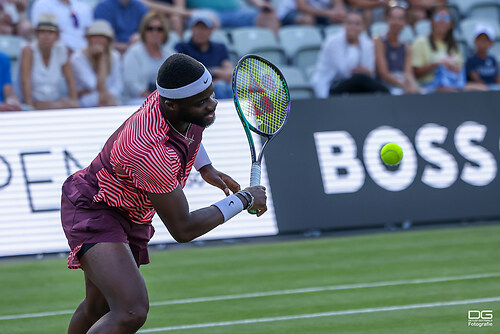 boss-open_atp250_stuttgart_lehecka-tiafoe_2023-06-14_foto-detlef-gottwald_K06_0840