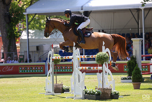 Victor Bettendorf (LUX) Edipson du Chene _ pfingsturnier_springen-obermayr_2023-05-29_foto