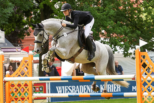 pfingstturnier_springen-24_louise-wintzer_2025-06-07_foto-detlef-gottwald_K06_0253