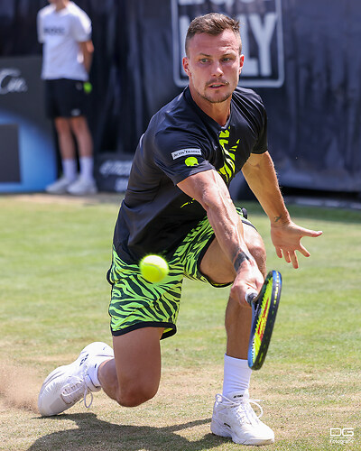 boss-open_atp250_stuttgart_tiafoe-fucsovics_2023-06-17_foto-detlef-gottwald_K06_0166