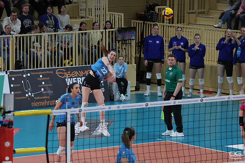 vcw-suhl_playoff_2025-03-25_foto-detlef-gottwald_K08_1239