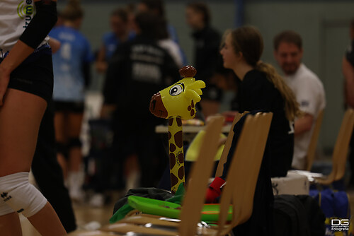 bonn-osnabrück_2025-11-09_foto-detlef-gottwald_K06_1175