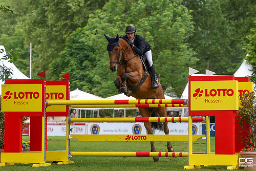 Karl-Georg Schäfer (GER) _ Kitalpha 2 _ pfingstturnier_2024-05-19_foto-detlef-gottwald_K06