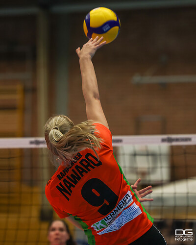 straubing-grimma_2025-04-13_foto-detlef-gottwald_K06_2614