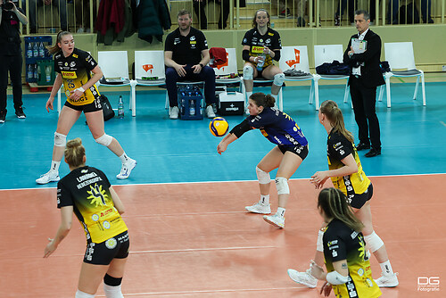 vcw-suhl_playoff_2025-03-25_foto-detlef-gottwald_K08_1163