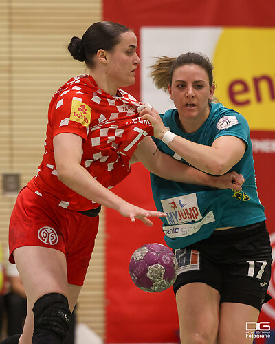 mainz05-fuechseberlin_2025-05-10_foto-detlef-gottwald_K06_2506
