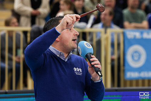 vcw-stuttgart_2025-12-12_foto-detlef-gottwald_K06_1710