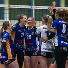 TG Bad Soden - proWIN Volleys TV Holz | 16.11.2025