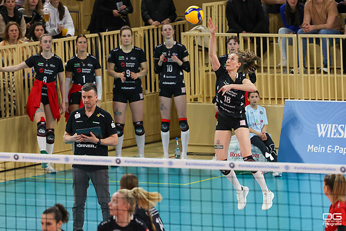 vcw-dresden_2024-03-27_foto-detlef-gottwald_K06_2845