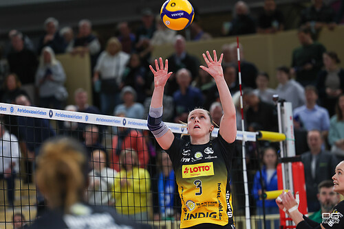 vcw-suhl_playoff_2025-03-25_foto-detlef-gottwald_K08_1697