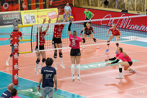 206_vcw-dresden_2023-04-08_foto-franzi-koob_detlef-gottwald-fotografie_K06_0924