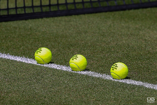 Alexander ZVEREV (GER) - Brandon NAKASHIMA (USA)_K06_0966