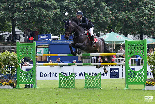 Victoria Fuhrmann (GER) _ Castlefield Cornet _ pfingstturnier_2024-05-19_foto-detlef-gottw