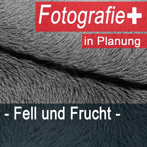 Fotografie + Fell und Frucht