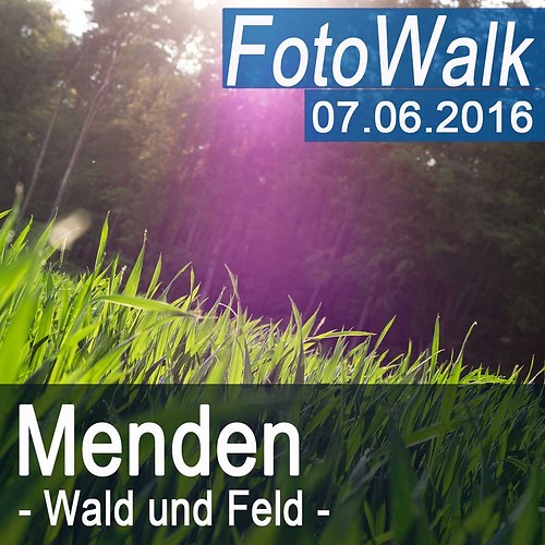 2016-06-07 Wald und Feld FotoWalk